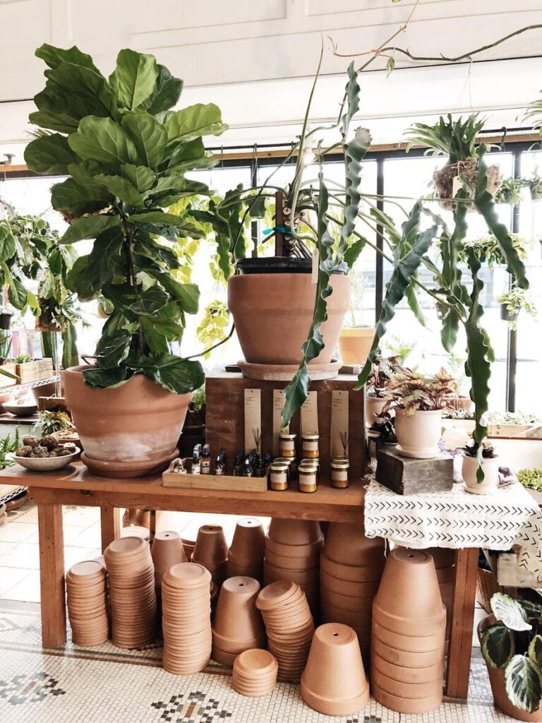 planters on workbench