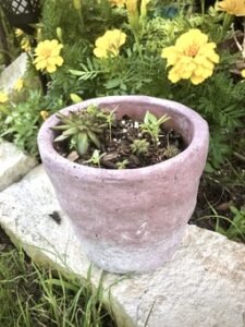 stone terracotta vase