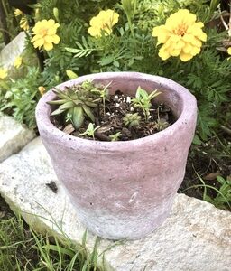 stone terracotta vase